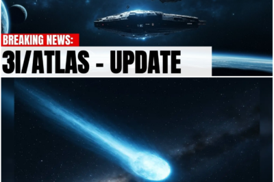 Harvard Professor Vanishes After Warning: The Object in Our Sky Is Not What You Think