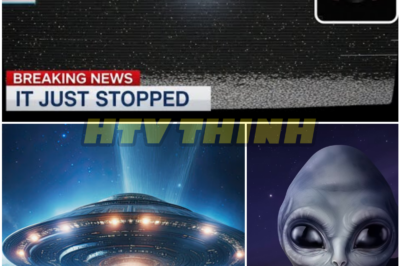 “It’s Not a Comet — 3I Atlas Just Sent a 16‑Hour Signal. And the Universe Answered.”