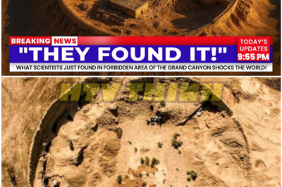 Leaked Footage Suggests Something Alive Lies Beneath the Grand Canyon—And Authorities Are Desperate to Keep It Buried