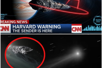 47 Years of Silence Ended the Moment 3I/ATLAS Entered the Frame — Why Now?