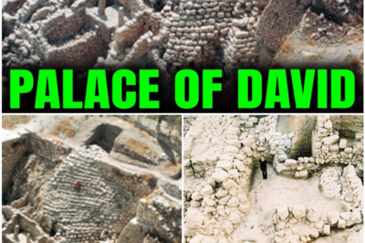 David’s Lost Kingdom: Archaeology’s Most Dangerous Debate