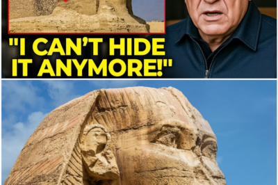 Ancient Secrets Unearthed? Hawass Hints at Shocking Discoveries Beneath the Sphinx