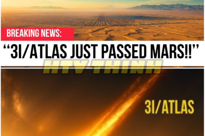 “A Visitor Nears the Sun, NASA Goes Dark, and the World Demands Answers”