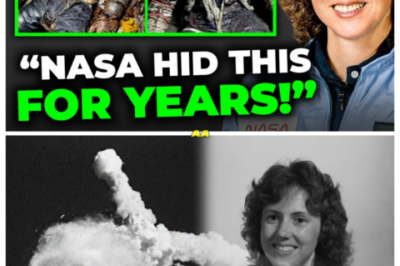 What Happened to the Bodies of the Challenger Disaster Crew…