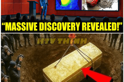 🦊 “QUANTUM AI SHOCKER: Smiths Cove Reanalyzed—The Mind-Blowing Discovery That Scientists Didn’t See Coming!” ⚡