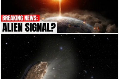 🦊 GLOBAL ASTRO-PANIC ERUPTS: Comet 3I/ATLAS Linked to a “Forbidden Signal” NASA Won’t Even Acknowledge 🚨