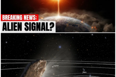 🦊 SECRETS IN THE SKY: Whistleblowers Claim a BIZARRE 3I/ATLAS Transmission Sparked NASA’s Midnight Lockdown 👁️