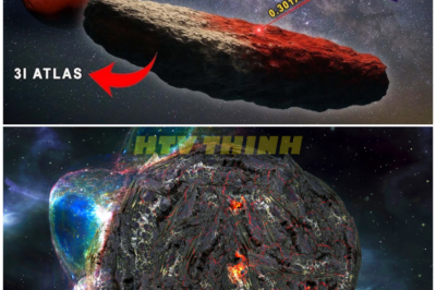 🦊 “SPACE MYSTERY ERUPTS: The 3i Atlas Phenomenon Takes a Darker Turn as Its Alarming Shift Toward Earth Raises Questions No One Can Answer 🌌”