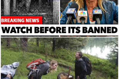 🦊 1 MINUTE AGO: Expedition Bigfoot Crew Captures Their FIRST CLEAR FOOTAGE — What Appears on Screen Is Absolutely TERRIFYING 🌲