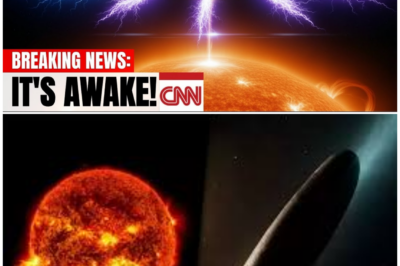 🦊 SOLAR SHOCKWAVE STUNS SCIENTISTS: “3I/ATLAS Just MOVED—And No One Can Explain Its Pulse Near the Sun!” 🌑