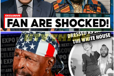 Remember Mr. T? The Real Reason He Vanished From Hollywood Will Leave You Speechless
