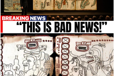 AI Cracks the Mayan Codex — And The Warning Hidden Inside Is Terrifying