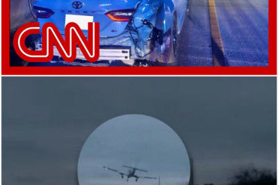 Plane Slams Into Car on Highway — The Collision That Left Drivers Frozen in Shock