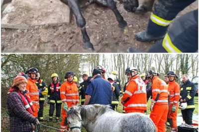 Two Lives on the Line: The Dramatic Rescue from a Forgotten Well
