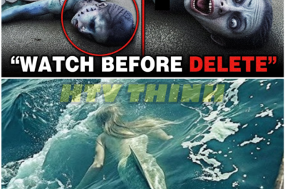 Fishermen Film Creature Near Boat Moments Before Massive Predator Attacks