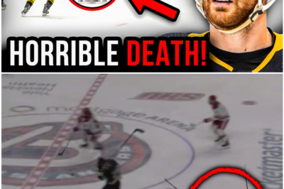 The TERRIFYING Last Minutes of Former NHL Player Adam Johnson