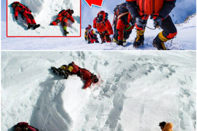 The TRAGIC Story Behind the K2 Disaster of 2008