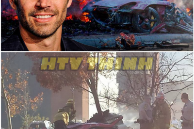 The Terrifying Last Minutes of Paul Walker — What Really Happened