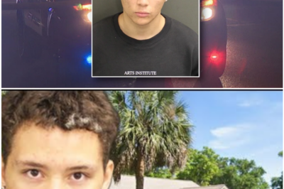 Police Arrest High School-Age Suspect in Investigation of Multiple Violent Assault Allegations