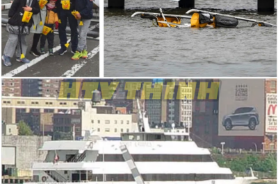 The Hidden Truth Behind the NYC Hudson River Helicopter Crash