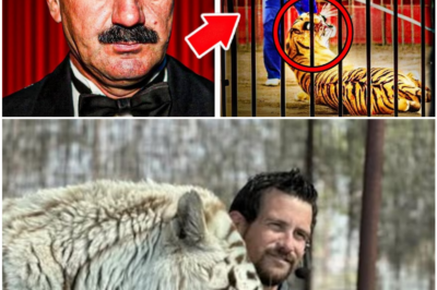 “Trusted Them With His Life — The Tiger Trainer Killed Inside the Cage”
