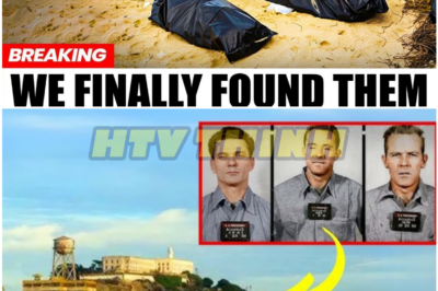 Alcatraz Escape Mystery Cracked: Stunning 2025 Discovery Rewrites History