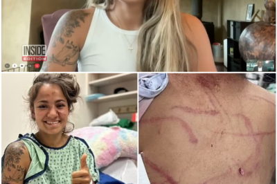 The Horrific Grizzly Bear Attack on Vanessa Chaput