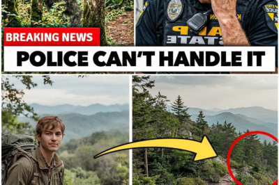 The Footage That Terrified the Appalachian Trail: What the Camera Really Saw