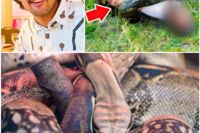 The Horrifying Last Moments of Elliot Senseman