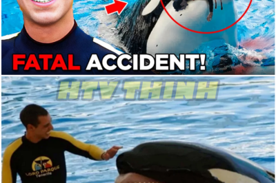 Inside the Final Moments: The Tragic Incident That Claimed Orca Trainer Alexis Martínez
