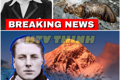 What Really Happened to Irvine? The Hidden Evidence National Geographic Won’t Release