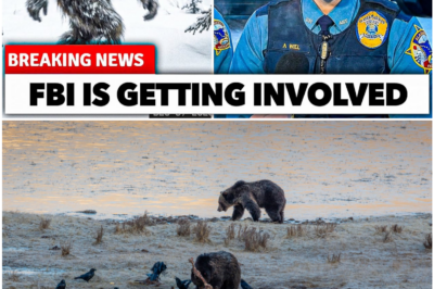 1 Minute Ago: Alaska Wilderness Footage Forces Experts to Rethink What We Know