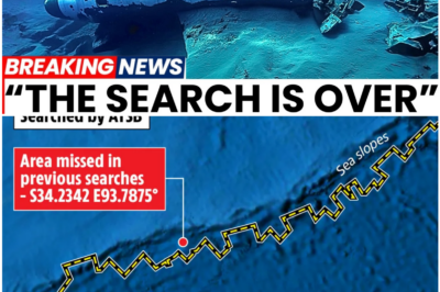 11 Years Later, the MH370 Search Is Back — And What They Found Shocked Everyone