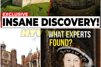 Experts Open the Sealed Room of a 12th-Century Castle — What They Found Inside Is Pure Terror