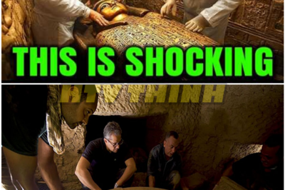 Sealed Tomb in Ancient Mesopotamia Finally Opened — And What Was Written Inside Is Terrifying