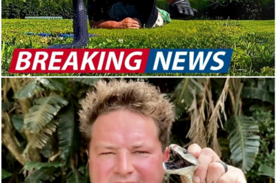 “Alone in the Wild: The Final, Tragic Moments of YouTube Adventurer Dingo Dinkelman”