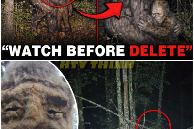 🦊 “‘DON’T HURT THEM!’ SHOCKING BIGFOOT FOOTAGE EMERGES — Experts Say This Is 100% Real and NOT AI, Sparking Frenzied Debate Across the Internet 🐾”