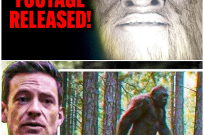 🦊 CAMERAS KEPT ROLLING AFTER DARK: WHAT EXPEDITION BIGFOOT CAPTURED AFTER THE CREW LEFT HAS EXPERTS STUNNED 👣🎥