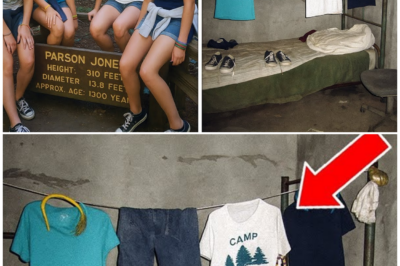 Camp Girls Vanished in 2014 — 2 Years Later, an Anonymous Call Leads Police to This…