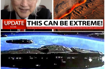 🦊 EARTH ON THE EDGE: SECRET SIGNALS, BURIED DATA, AND A TERRIFYING SHIFT THAT SCIENTISTS WON’T DISCUSS ON CAMERA 🌋