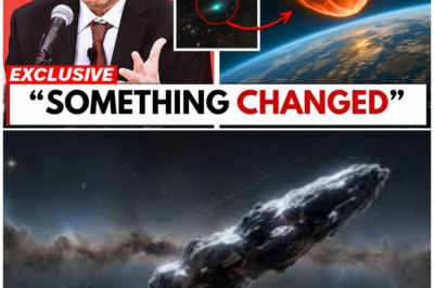 🦊 COSMIC ALERT: 3I/ATLAS JUST CHANGED COURSE—AND NASA’S LATEST UPDATE RAISES MORE QUESTIONS THAN ANSWERS ⚡🔭