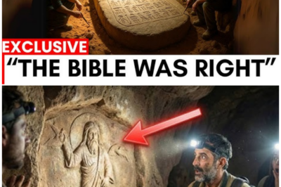 🦊 THE SECRET SCRIPTURES THE CHURCH REFUSED TO PUBLISH — AND WHY SCHOLARS ARE SHAKEN TO THE CORE 🔥