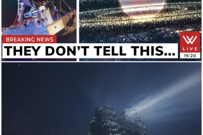 🦊 COSMIC HORROR EXPOSED: A FORBIDDEN IMAGE FROM THE EDGE OF THE SOLAR SYSTEM THAT WAS NEVER MEANT TO BE SEEN 🌌