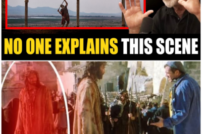 🦊 THE PASSION, THE BACKLASH, AND THE CONFESSION THAT SHATTERS 20 YEARS OF SILENCE 🔥