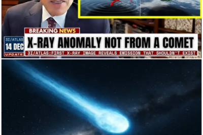 🦊 Too Close to Ignore: As 3I/ATLAS Comes Into Focus, a Disturbing Discovery Threatens to Rewrite the Official Narrative ⚠️