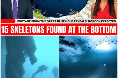 Underwater Footage From The Great Blue Hole Skeleton Left Archaeologists Stunned!