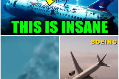 MH370 Just Sent Its First Real Clue in 11 Years — And the New Sonar Images Are Terrifying