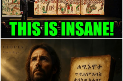 AI Finally Translated the Mayan Codex — Historians Are Stunned