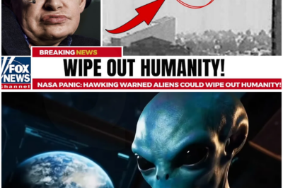NASA Panic: Hawking Warned Aliens Could Wipe Out Humanity!