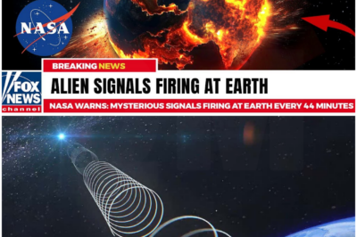 NASA Warns: Mysterious Signals FIRING at Earth Every 44 Minutes